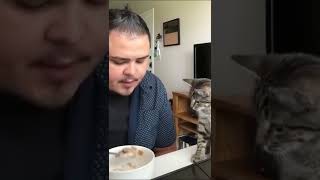 😂😂😂 #wee #Weee #shorts #tiktok #Dog #Cat #Animal #funny #youtubeshort #抖音 #Kuaishou #kwai #