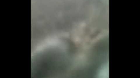 Astra h 1.7 weird sound