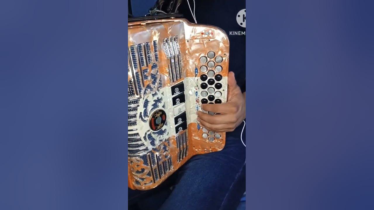 Rinconcito en el Cielo - Ramón Ayala y sus Bravos del Norte- #acordeon #gabbanelli #zurdo