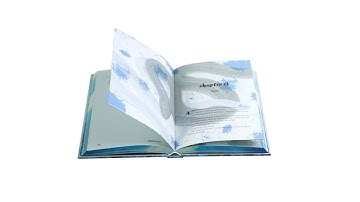Matte Hardcover with Colored Illustration Pages, Spot UV, Front Endpapers, and Sprayed Edges
