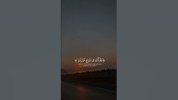 #قرآن #اكسبلور #المصحف #راحة_نفسية #مسلمين #youtube #viralvideo #fyp #explore #تلاوة_خاشعة