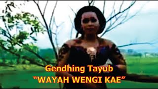 Seni Tayub Gendhing : 'Wayah Wengi Kae'