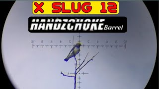 X-SLUG 12 GRAIN !! TES AKURASI MIMIS SLUG LOKAL 12 GRAIN  UNTUK  BERBURU