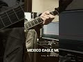 Mexico Eagle Mustard
