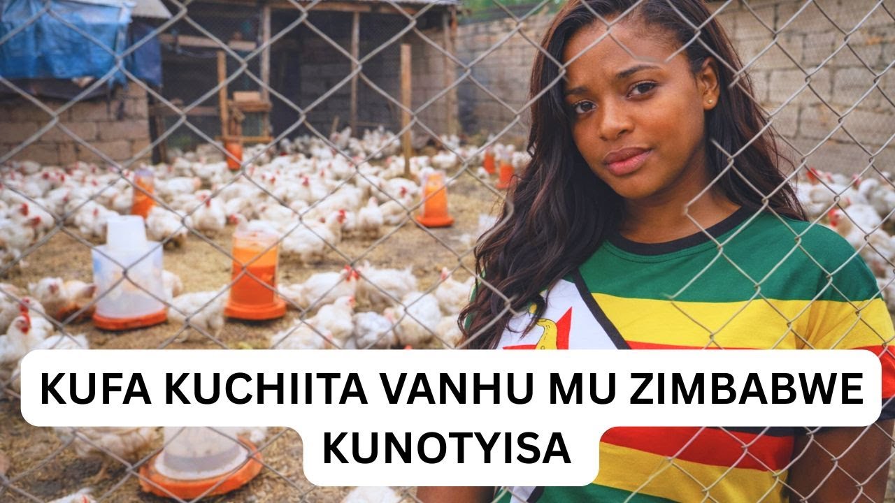 KUFA KUCHIITA VANHU MU ZIMBABWE KUNOTYISA