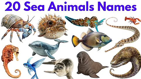 20 Sea Animals Name for Kids | Learn Ocean Animals in English with Pictures and Sounds for Children