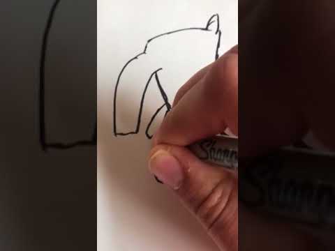 How to draw...a cartoon anteater