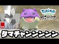 タマザラシとエコー芸を覚えたタマザラシニキ【ごまちゃん切り抜き】【ポケモンLEGENDSアルセウス】