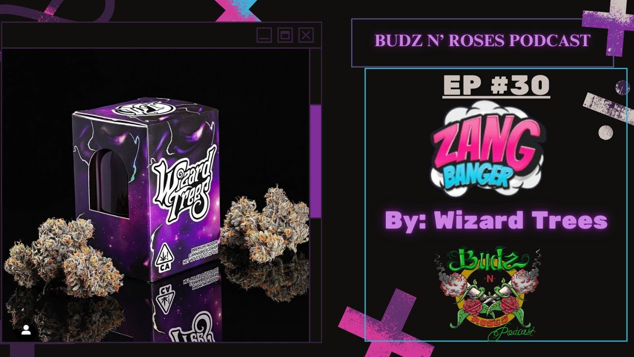 Ep. 30. ZangBanger By Wizard Trees