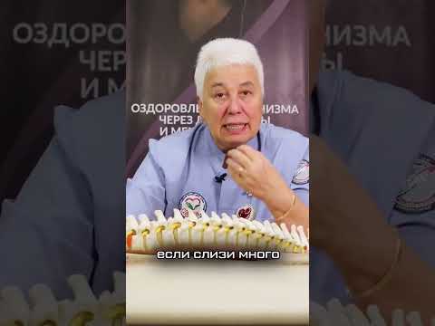 ГАЙМОРИТ И СИНУСИТ, ЗАЛОЖЕННОСТЬ ПАЗУХ👃