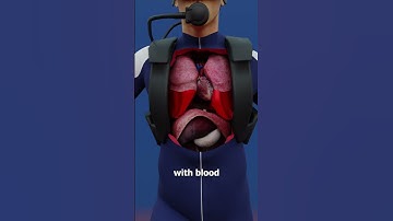 Thumbnail of Could You Survive Extreme Ocean Pressure? 😵