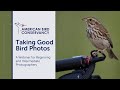 Webinar: Taking Good Bird Photographs