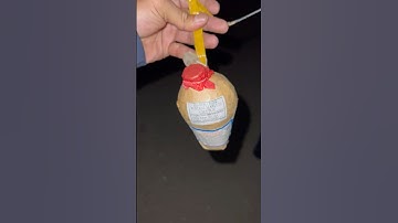 3 inch coconut display shell salute an color  #firework