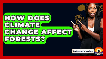 How Does Climate Change Affect Forests? - The Documentary Reel