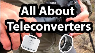 All About Teleconverters (TCs)