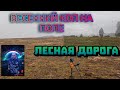 КОП ПОЛЕ НАХОДКИ/ДОРОГА В ЛЕСУ #metaldetecting #клад #коп #находкисметаллоискателем #coin #история