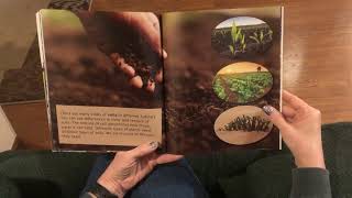 Natural or Man-made? A Compare and Contrast Book