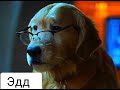 Персонажи фильма Кошки против собак 3: Лапы, объединяйтесь