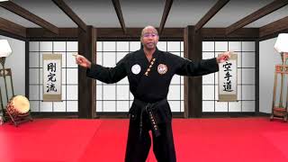 Lesson on Elbow Skills Han Su Do
