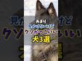 あまり見かけないけどクソかっこいい犬3選 #大型犬 #犬のいる生活