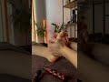 Foot massage #skincare #massage #relax #foot