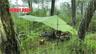 SOLO CAMPING HEAVY RAIN   RELAXING CAMPING   ASMR RAIN SOUNDS