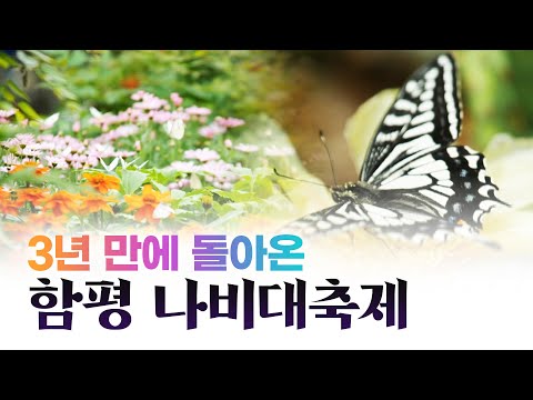 <strong>함평나비축제</strong> 현장으로 함께 가시봅시다🦋 #<strong>함평나비축제</strong> #함평 #전국시대