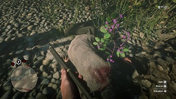 Doom: wild west edition