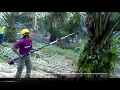 Mesin Baru Untuk Nasi Goreng  Doovi
