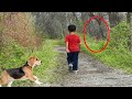 Маленький мальчик потерялся в лесу, но когда соседская собака привела родителей на нюх, оказалось…