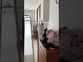 怒られると思ったのかな