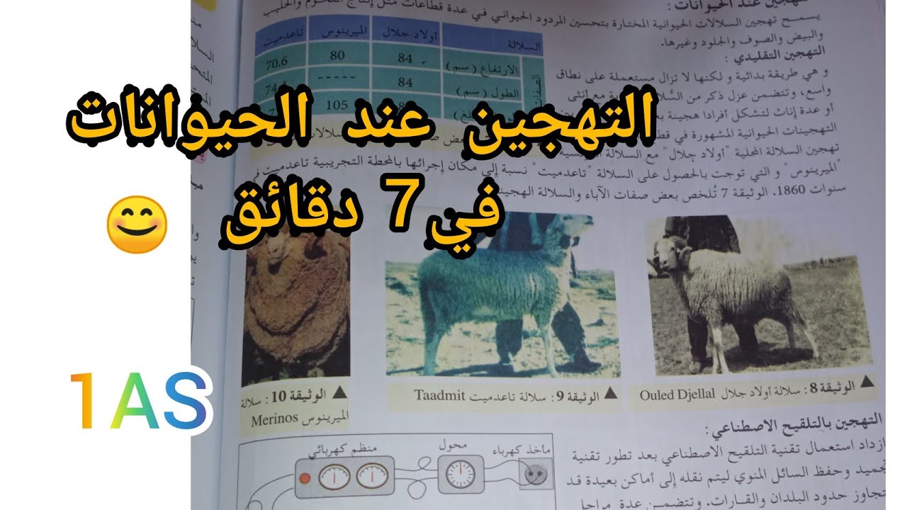 التهجين عند الحيوانات في 7 دقائق 😊