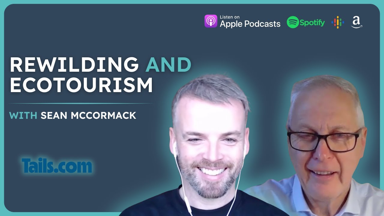Восстановление дикой природы и экотуризм – Шон Маккормак | VETchat | Ветеринарный подкаст