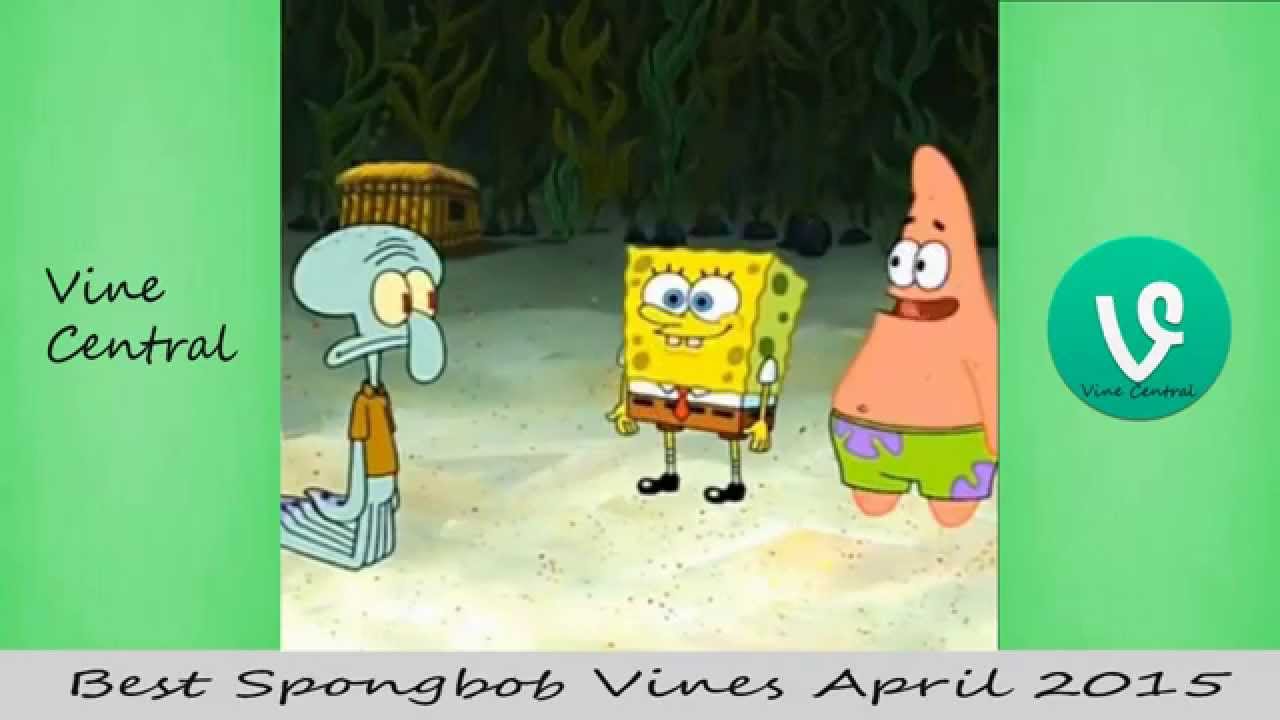 NEW Vine Central | Spongebob Vine Compilation - YouTube
