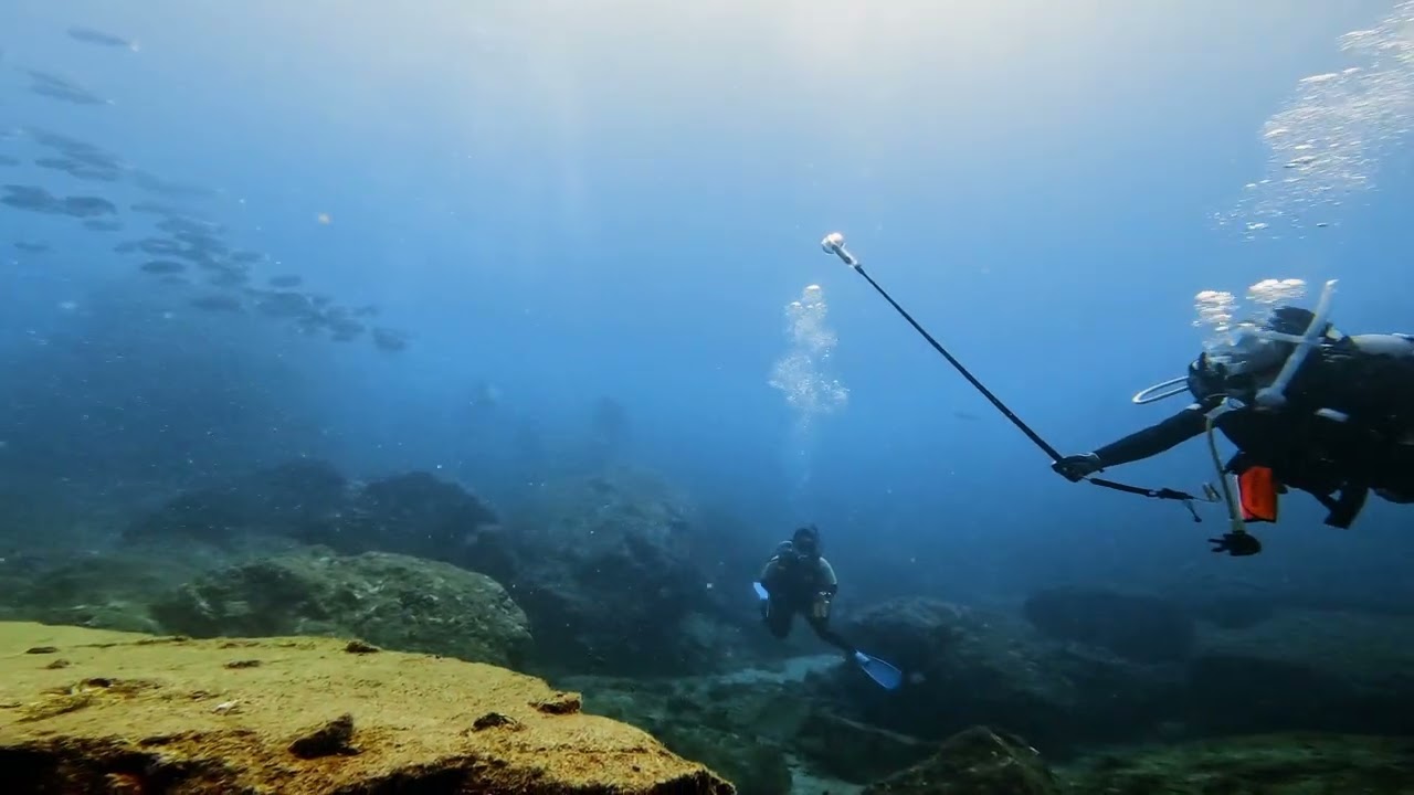 ウミガメに逢える海「南紀串本」／大阪 ダイビングスクールサンズ天王寺 