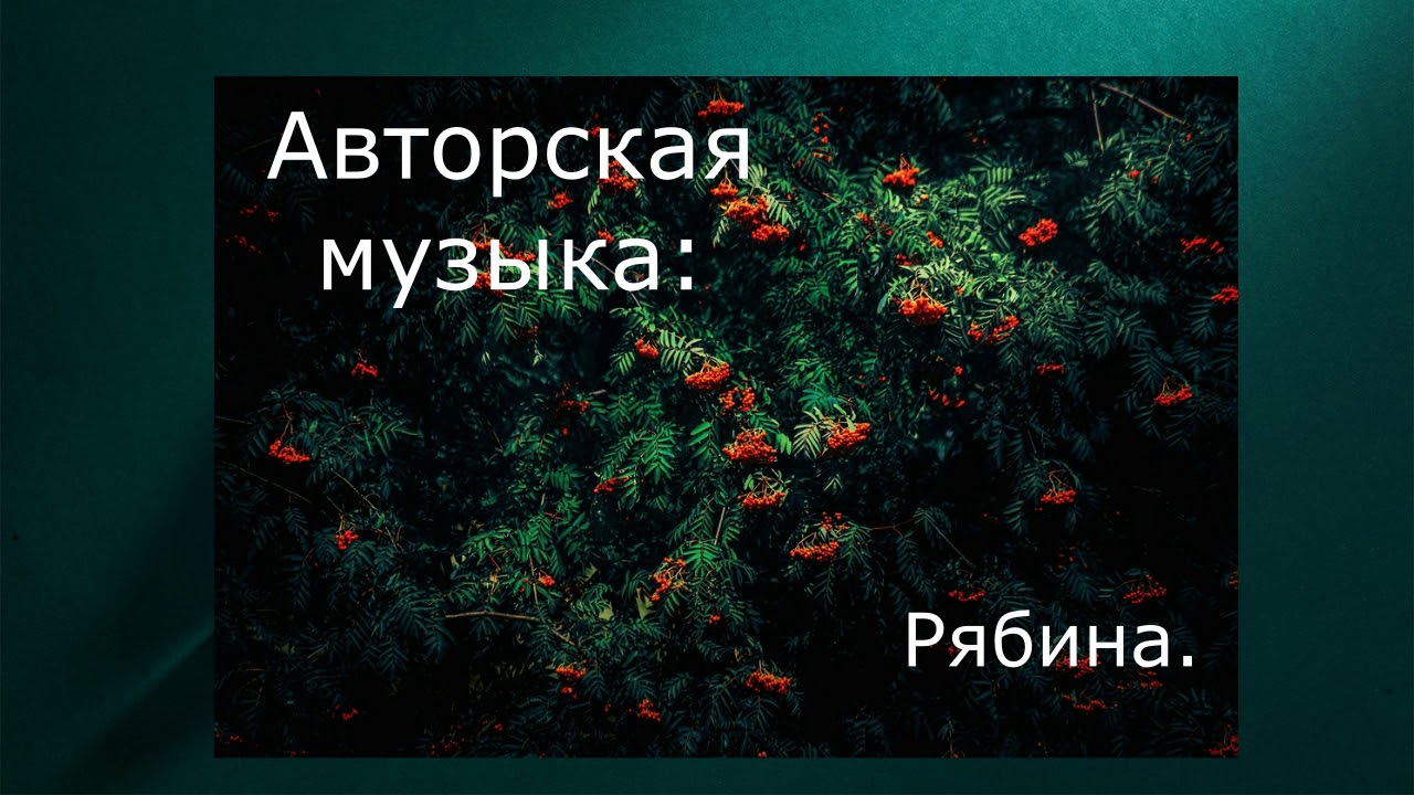 Песня рябина черная петровская. Гитара и рябина. Песня про рябину гитарная.