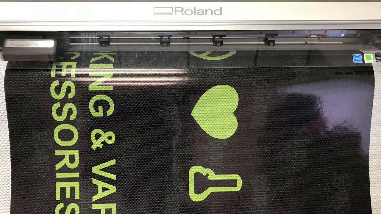 Vinyl Install at Gypsy Glass