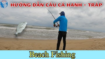 Hướng Dẫn Câu Cá Hanh (Tráp) Mùa Biển Động - Sea Bream Fishing   | Tiến Bens - Fishing | 4K