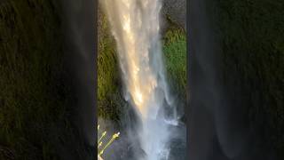 Salt Creek Falls, Oregon #oregon #exploreoregon #pnw #waterfall #summer #goldenhour #sunset #travel