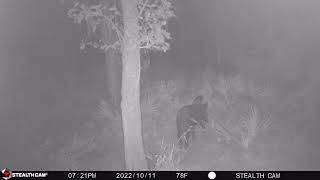 Trail Cam 2 & 3 of Research Location Green Swamp