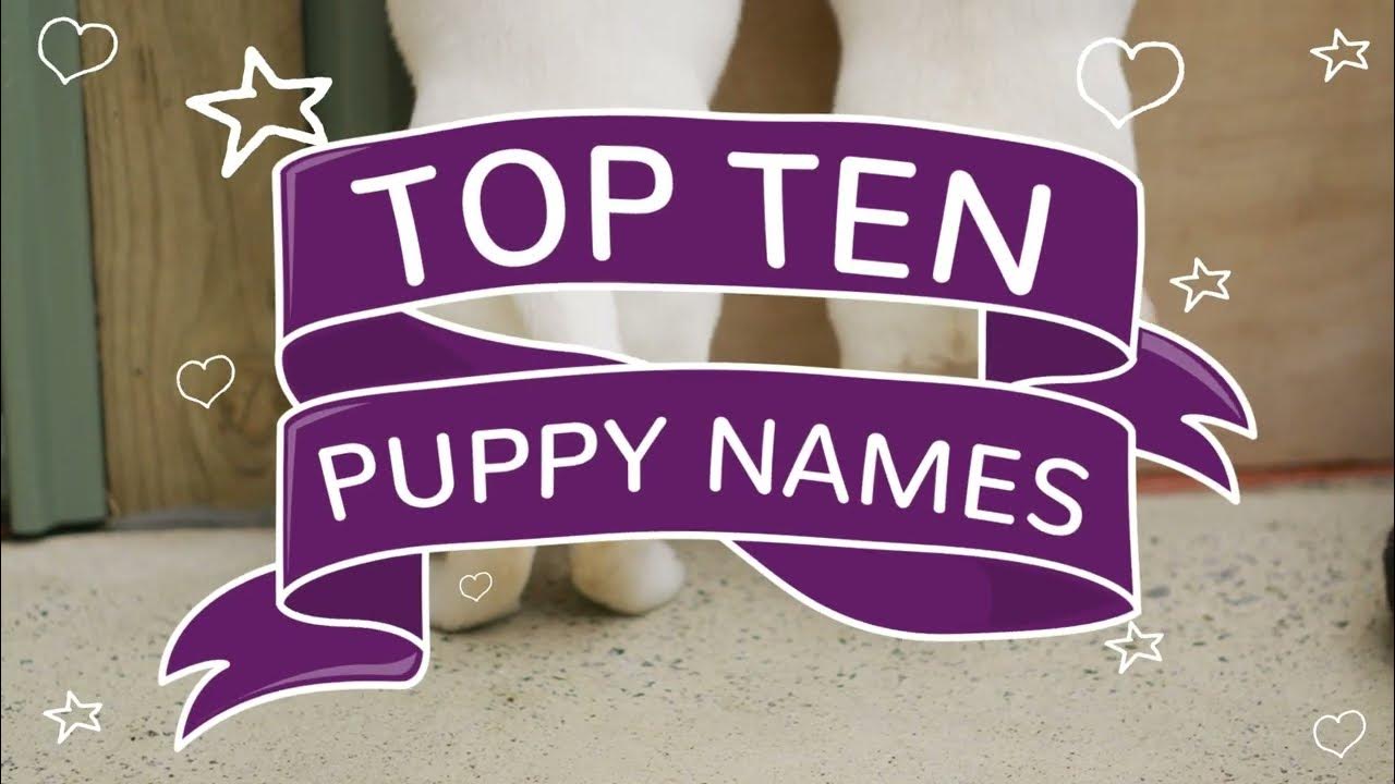 The Most Popular Puppy & Kitten Names of 2022 Brought to you by MiPet