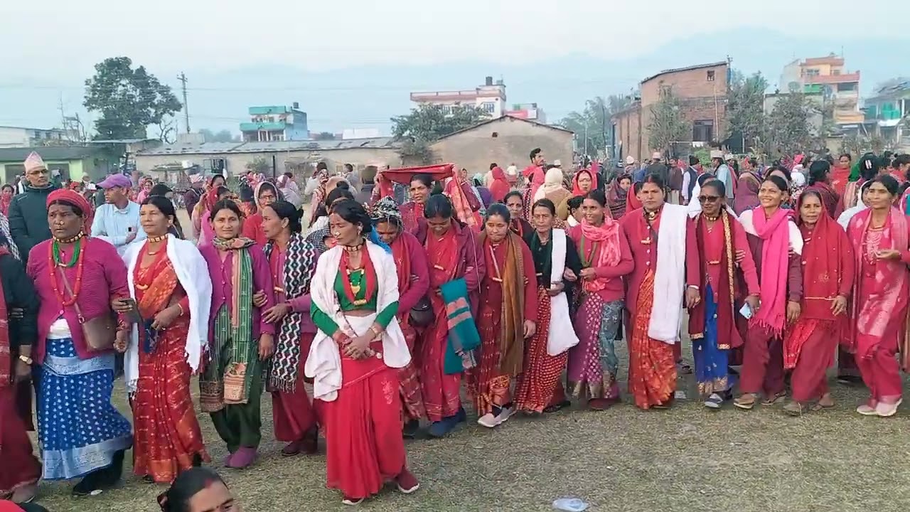 सल्लीका रुखईथी गयाँ / New Female Deuda Song / Nepali Deuda Song / Female Deuda Song / Deuda / Devda 