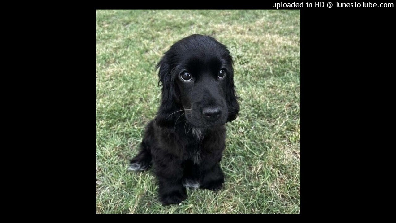 free tezzus type beat 270226