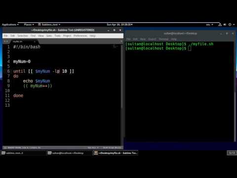 Bash Shell Scripting Tutorials For Beginners 23 - Until loop in Bash