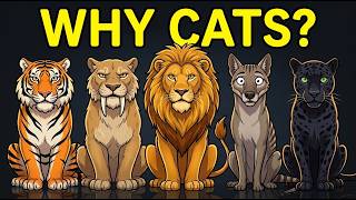 Why Do Different Animals Keep Evolving Into Cats