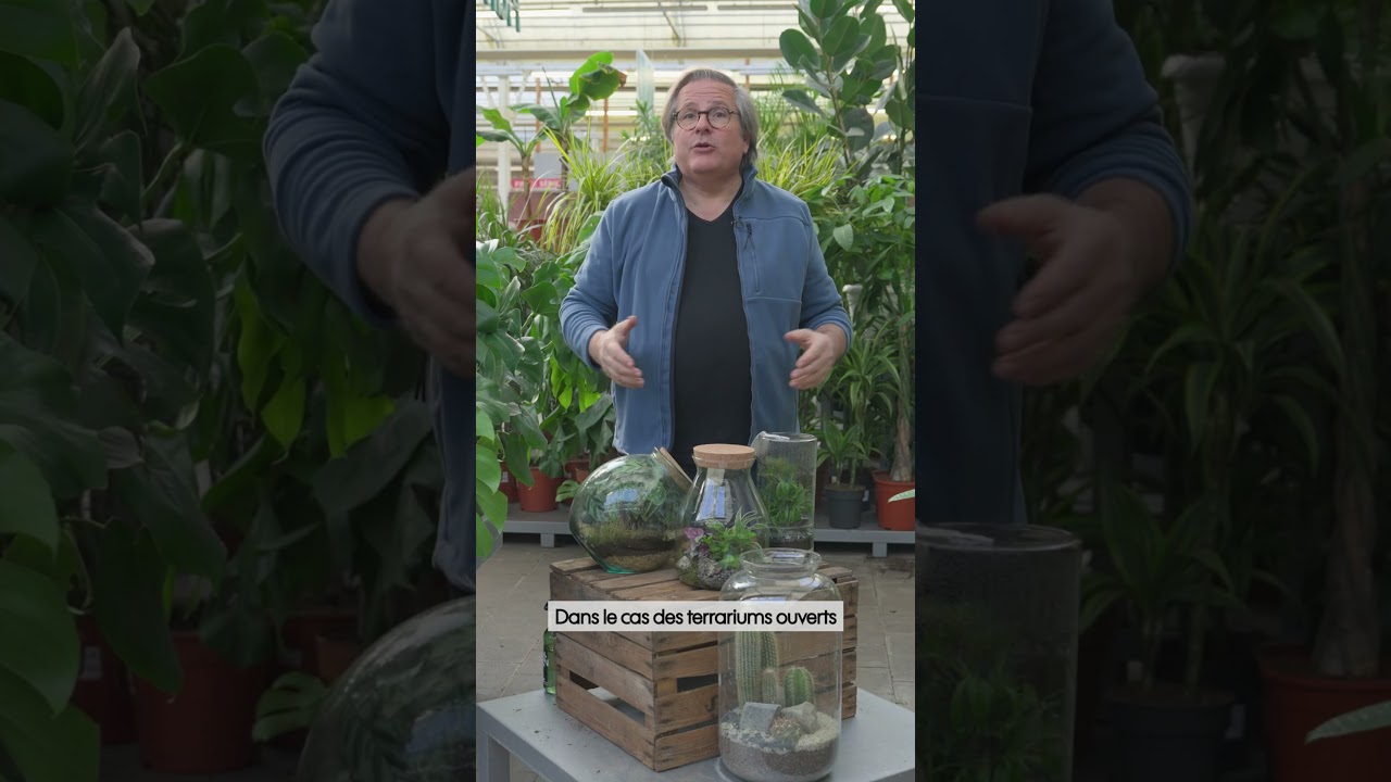 Comment entretenir son terrarium ? - Truffaut