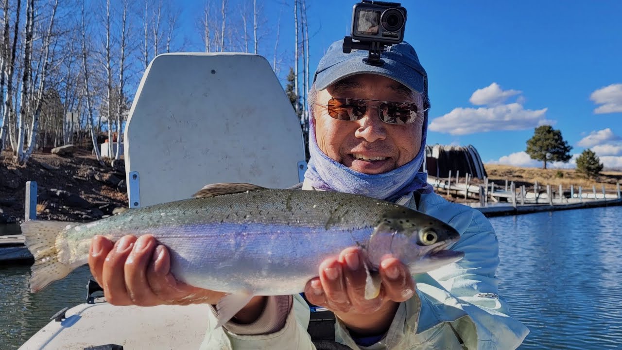 Big Lake Arizona Fly Fishing for Trout, my first time, much better than