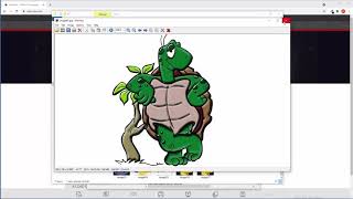 How To Change a Picture to Black and White, Grayscale or Negative - IrfanView #webdevpro screenshot 4
