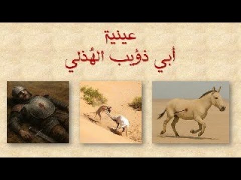عينية أبي ذؤيب اله ذ لي والتنبيه إلى شيء م ن ر وعتها وبيان ها أ م ن الم نون ور يبها تتوجع 02