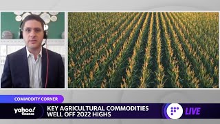 Soft commodities are ‘pulling back’ on recession fears, commodities analyst says screenshot 5